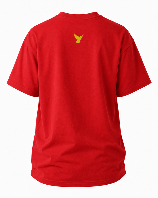 God will Supply T-Shirt
