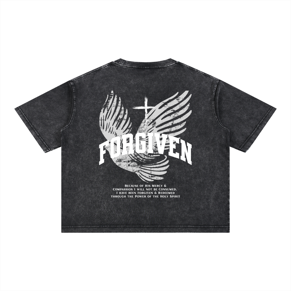 AGP Mineral Wash T-Shirt