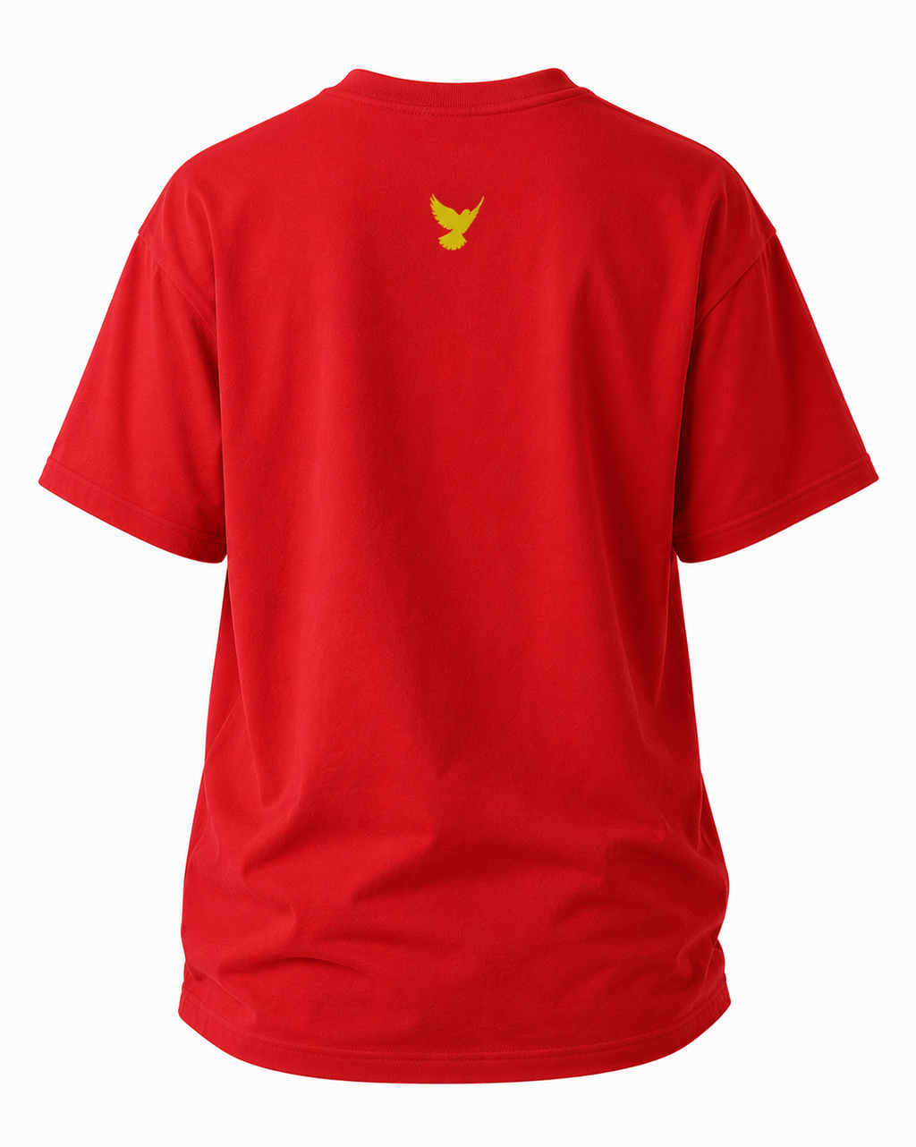 God will Supply T-Shirt