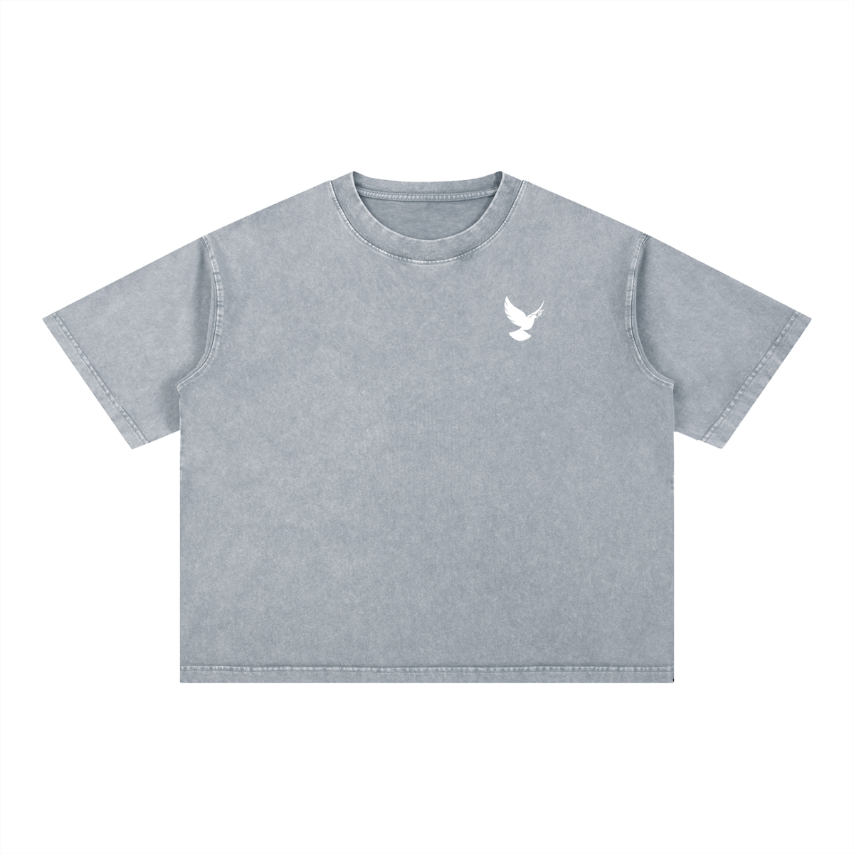 AGP Mineral Wash T-Shirt