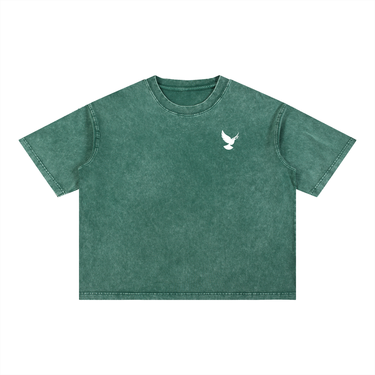 AGP Mineral Wash T-Shirt