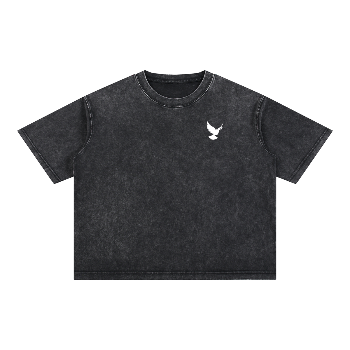 AGP Mineral Wash T-Shirt