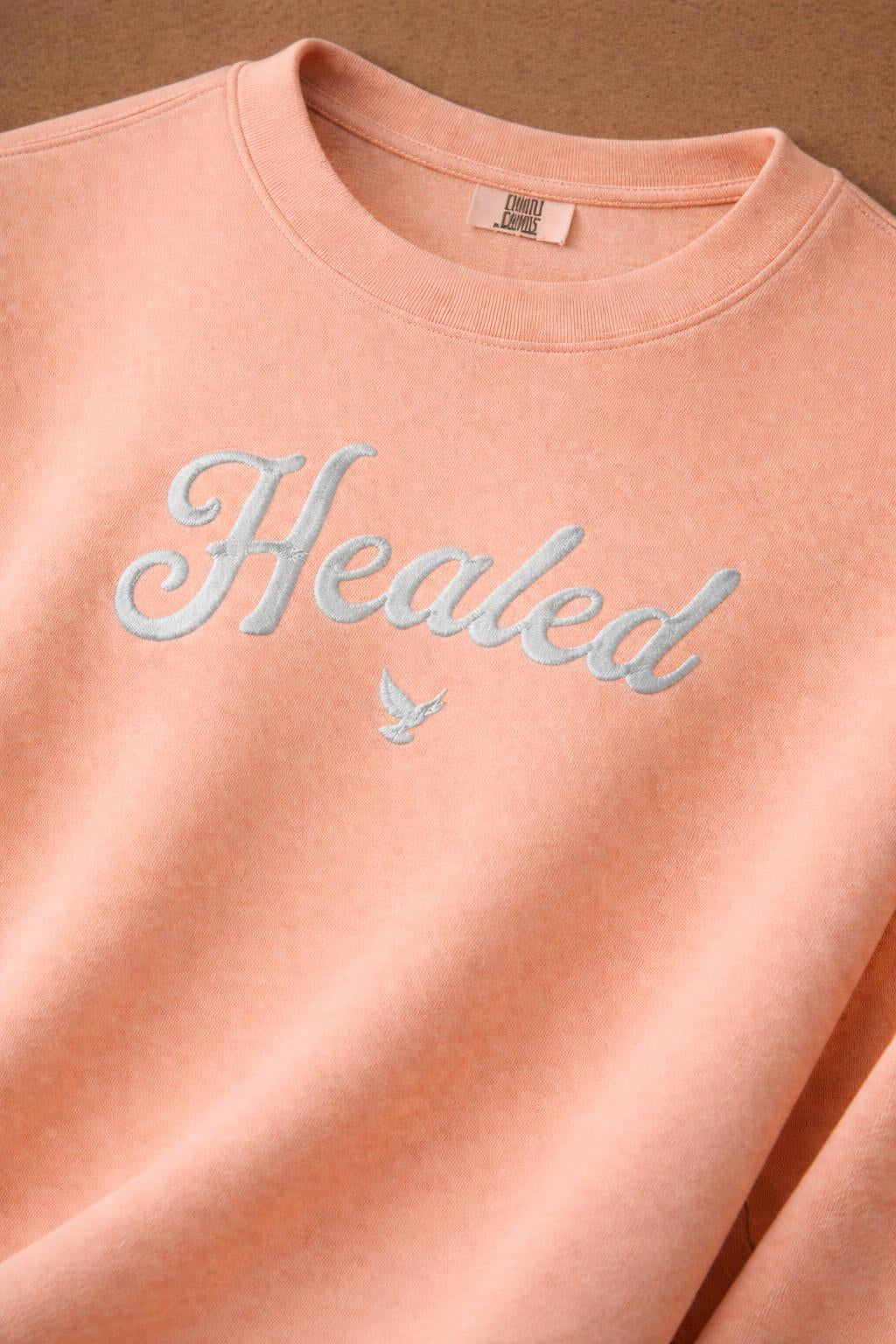 Detail shot of Healed fleece crewneck sweatshirt