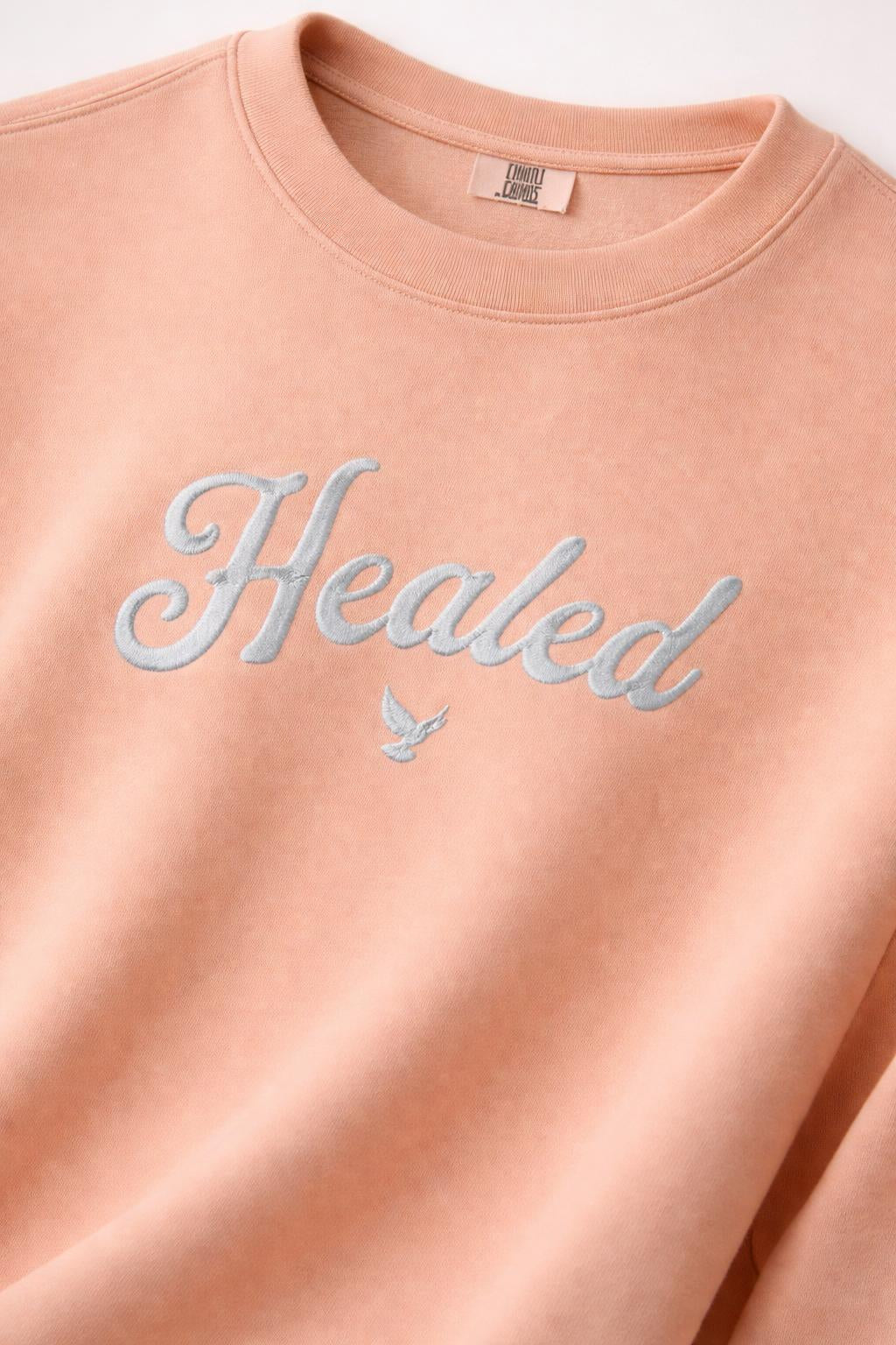 Detail shot of Healed fleece crewneck sweatshirt